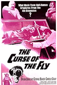 Primary photo for Curse of the Fly