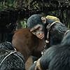 Samuel Falé, Nina Gallas, Owen Teague, and Lydia Peckham in Kingdom of the Planet of the Apes (2024)