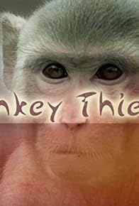 Primary photo for Monkey Thieves