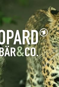 Primary photo for Leopard, Seebär & Co.