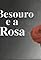 O Besouro e a Rosa's primary photo