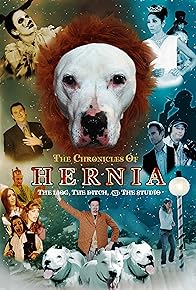 Primary photo for The Chronicles of Hernia: The Lion, the Ditch and the Studio