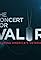 The Concert for Valor's primary photo