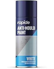 Rapide Anti Mould Spray Paint, 400 ml