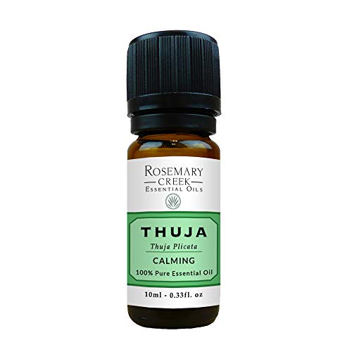 air purifying essential oil - Thuja Essential Oil – 100% Pure and Natural – Perfect for Meditation and Purifying The Air – by Rosemary Creek Essential Oils (10 ml (1/3 oz))