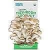 Back to the Roots Organic Oyster Mushroom Grow Kit, Harvest Gourmet Mushrooms In 10 Days