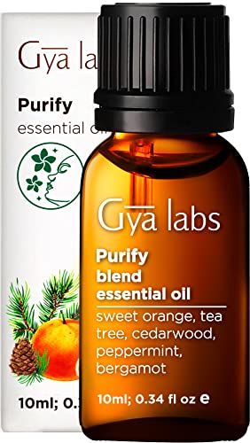 air purifying essential oil - Gya Labs Purify Essential Oil Blend (10ml) - Fresh & Cleansing Scent