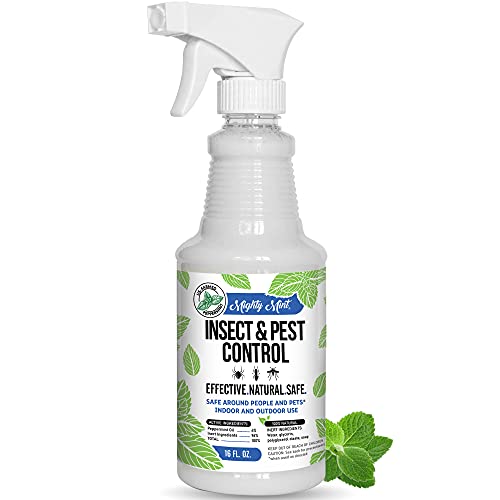 Mighty Mint - 16oz Insect and Pest Control Peppermint Oil - Natural Spray for Spiders, Ants, and More - Non Toxic