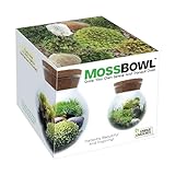 Create Your Serene Moss Sanctuary with The Unique Gardener Moss Bowl Terrarium Kit with LED Light - Perfect for Stress Relief & Air Purification!