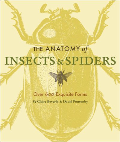 The Anatomy of Insects & Spiders: Over 600 Exquisite Forms