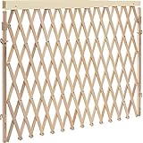 Evenflo Expansion Walk Thru Room Divider Gate