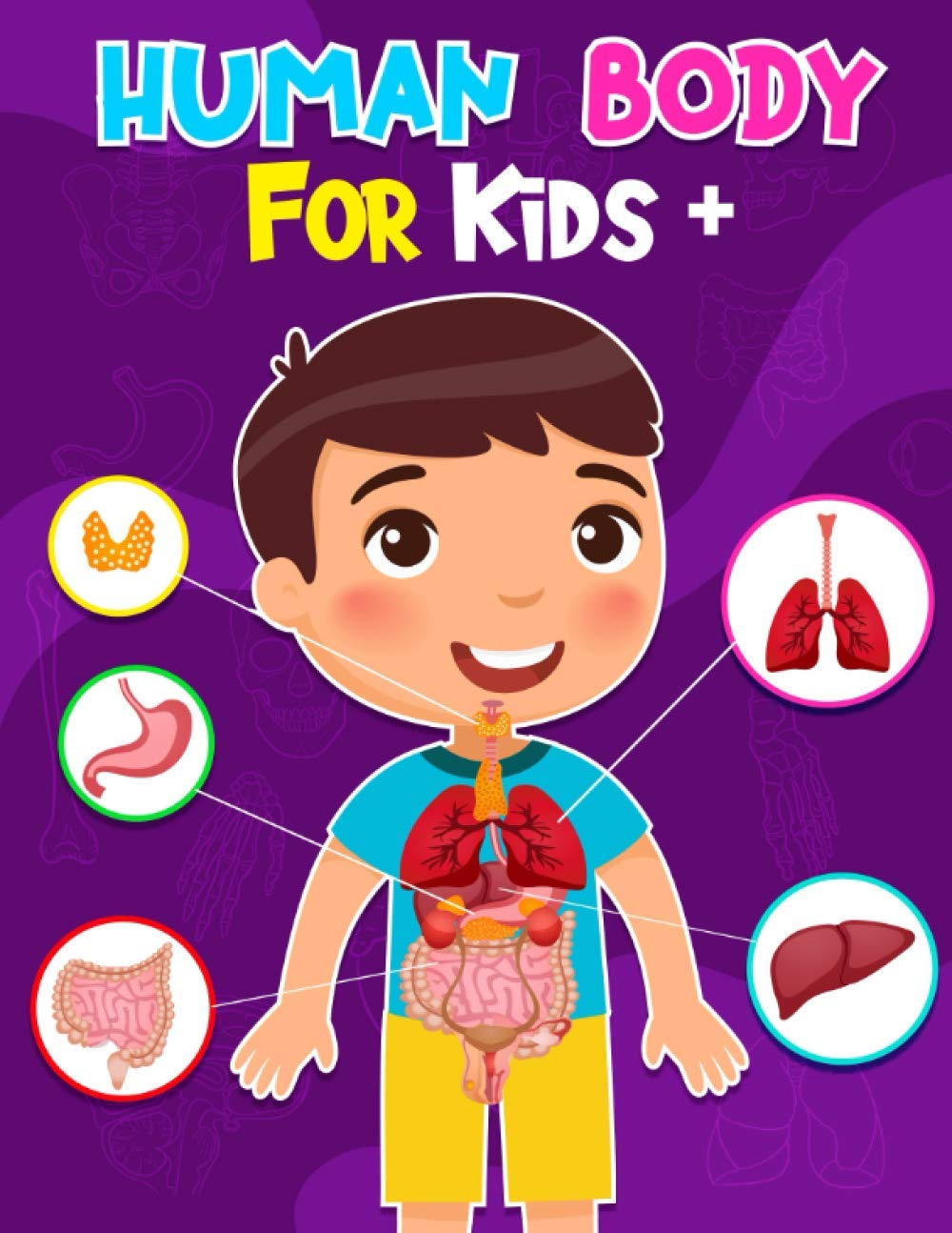 Kid Health Poster With Human Body Anatomy Vector Image