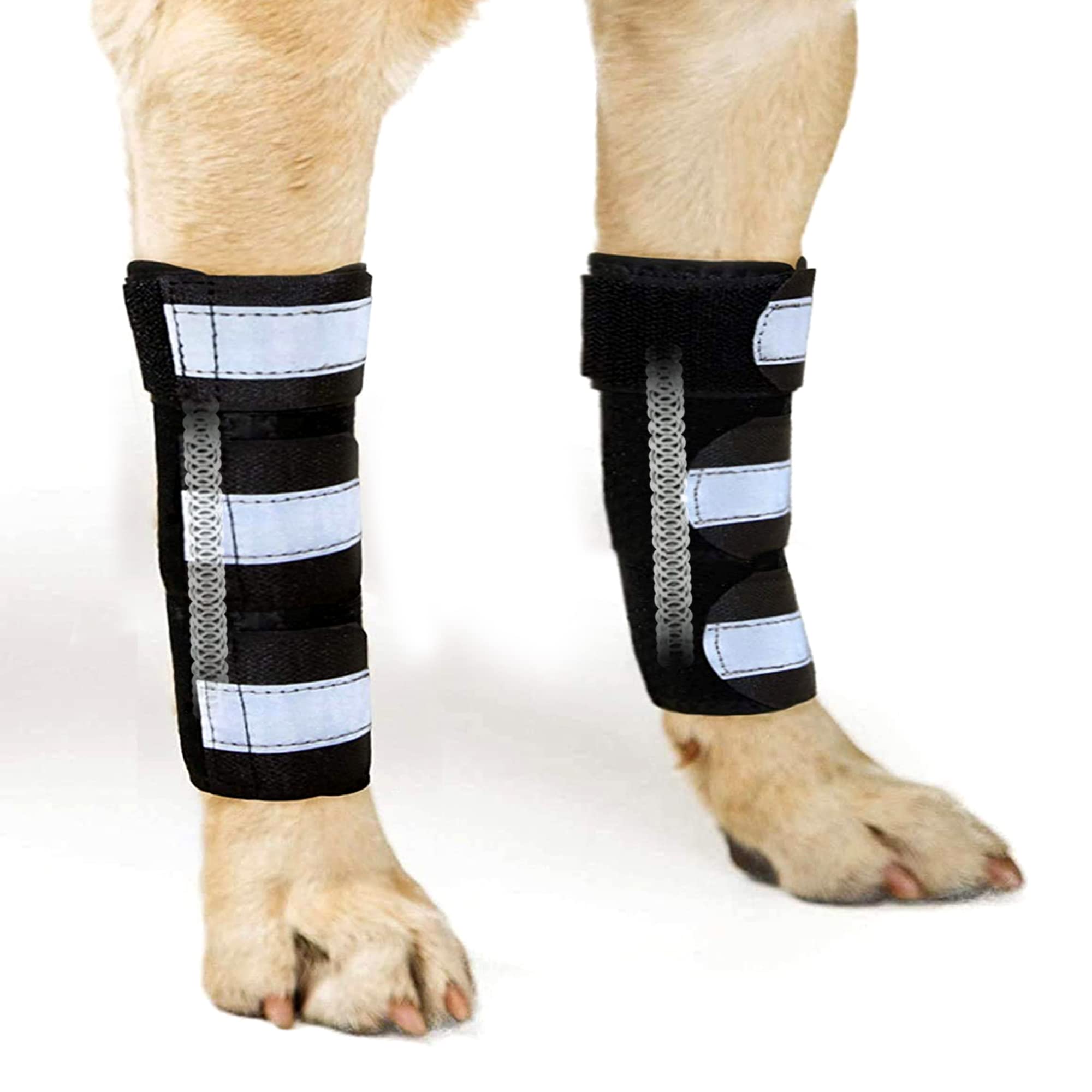 Buy NeoAlly- Front Leg Brace for Dogs & Cats, Dog Leg Brace with Metal ...