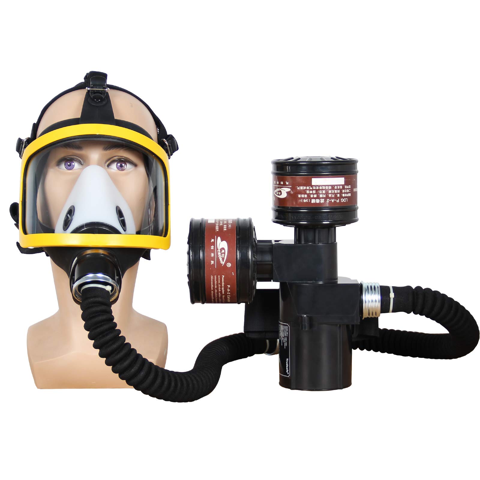 Buy Electric Constant Flow Supplied Air Fed Full Face Respirator System ...