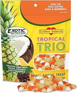 Tropical Trio - Healthy Natural Mixed Dried Fruit Treat - Papaya, Coconut, Pineapple - for Sugar Gliders, Squirrels, Prair...