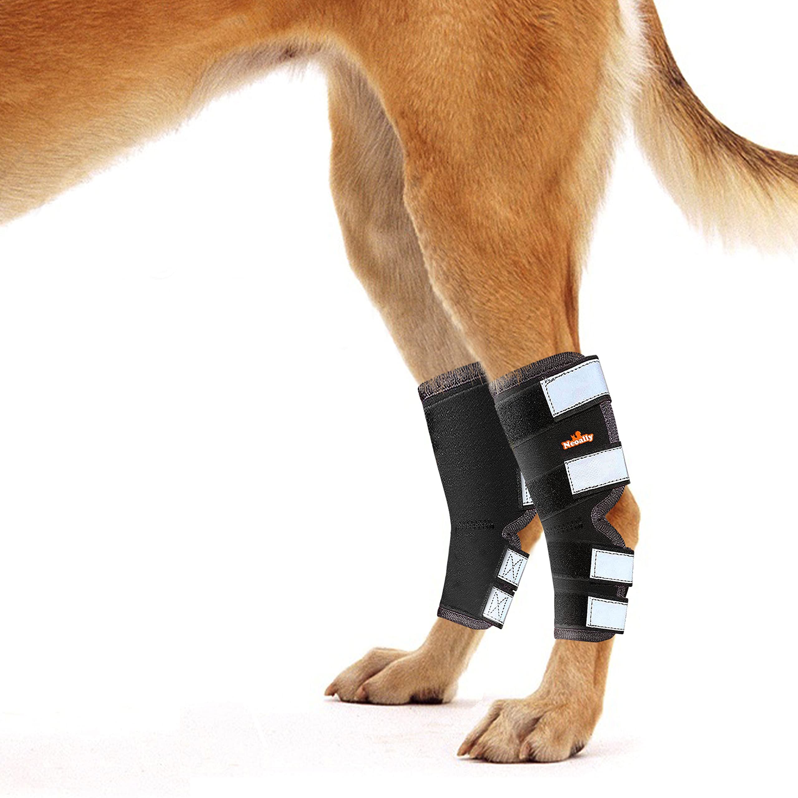 Buy NeoAlly® - Rear Leg Hock Brace, Dog Leg Brace for Rear Leg, Hock ...