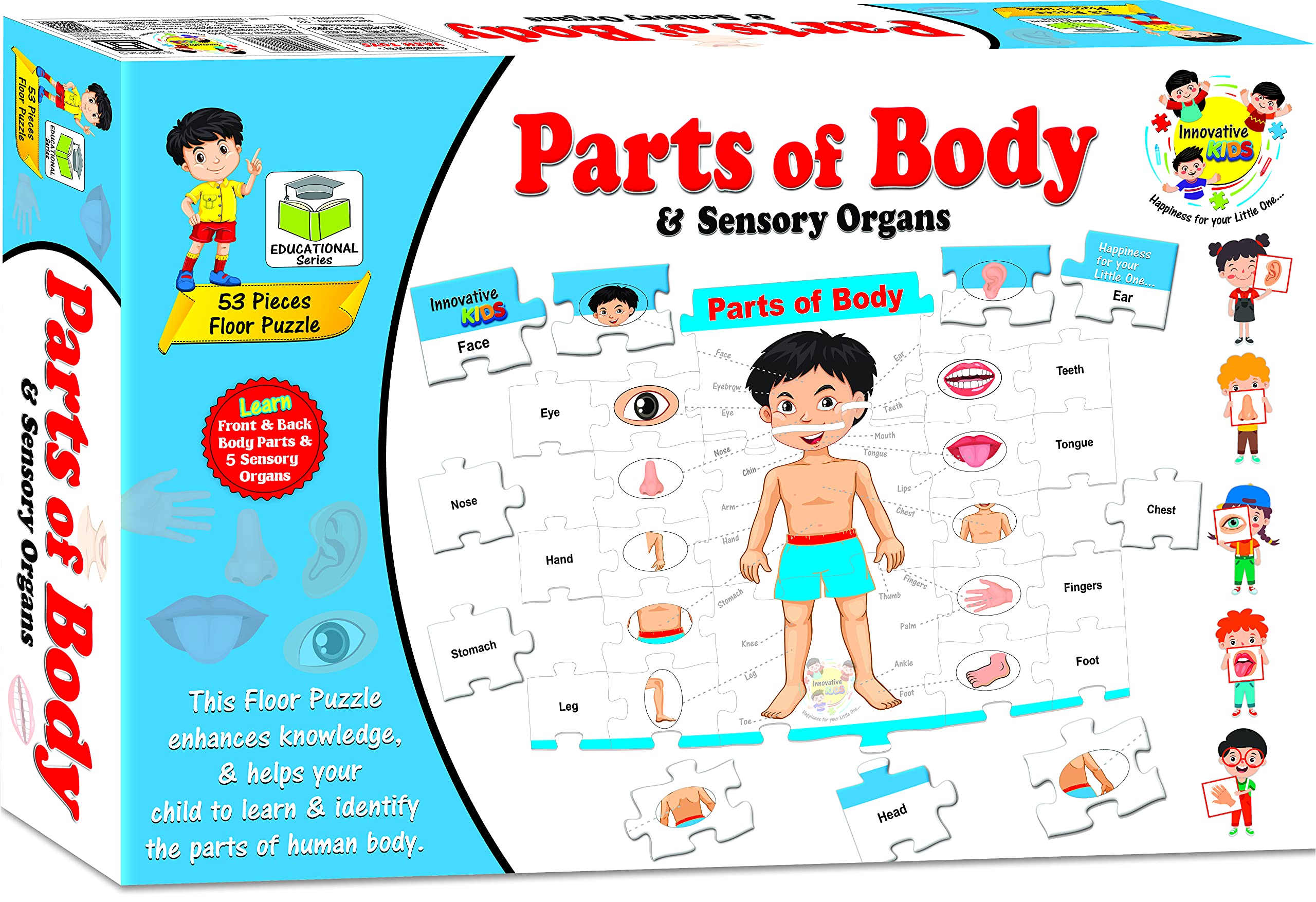 Buy Educational Parts of Body & Sensory Organs Floor Puzzle for Kids ...