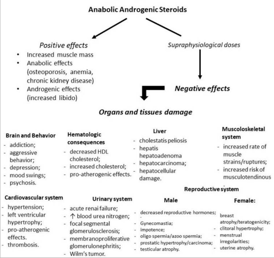 Anabolic Steroids