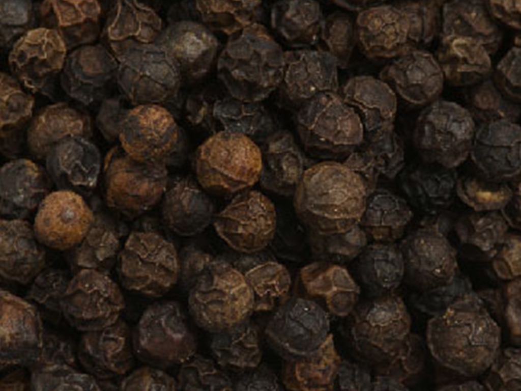 The black pepper oil is obtained by the steam distillation of dried berries of black pepper plant.