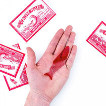 Fortune Telling Fish (5 pcs.)