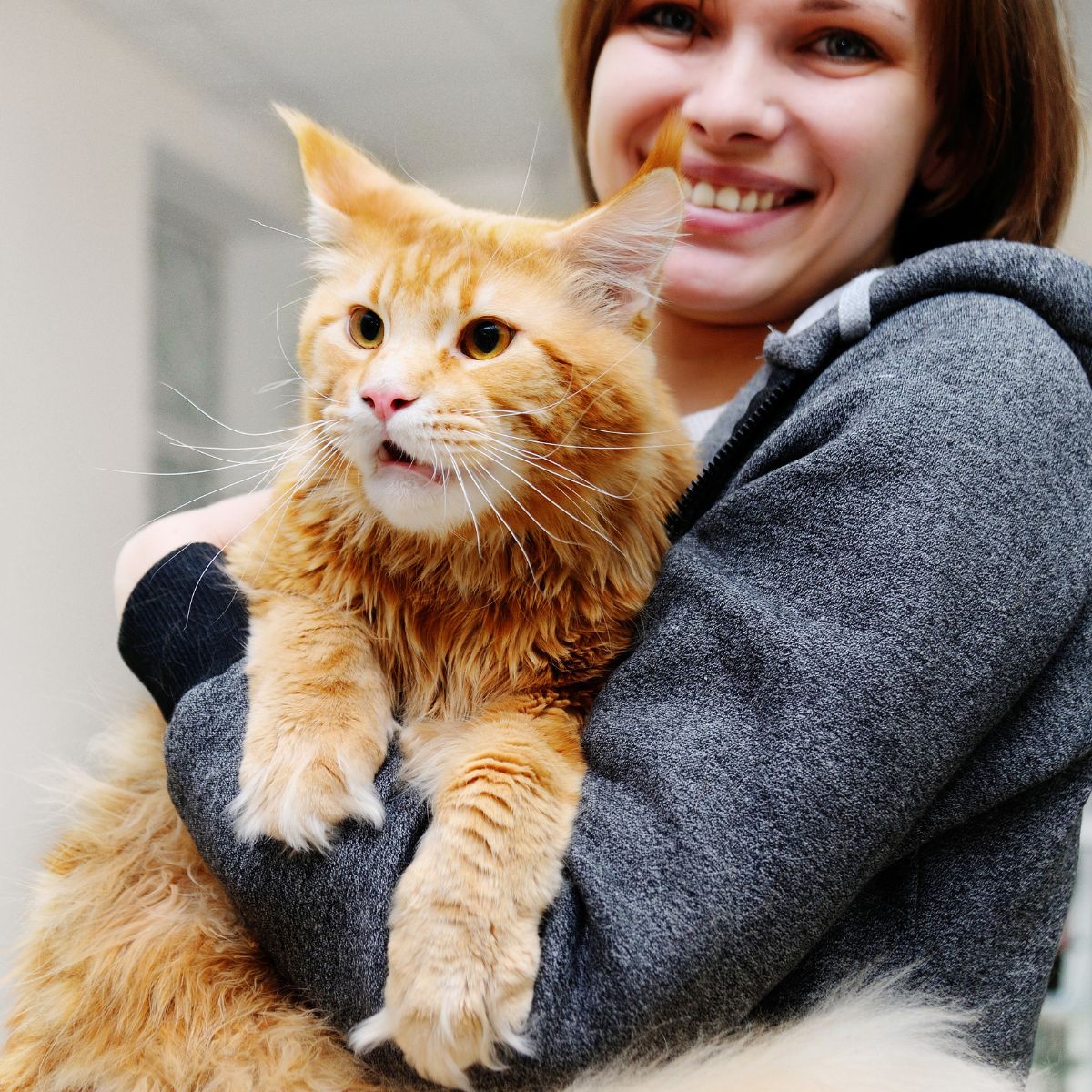 Ella holding annie maine coon.