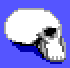 Human skull