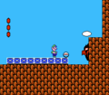 Super Mario Bros. 2 1-1 Goal, including Crystal Ball & Mask Gate