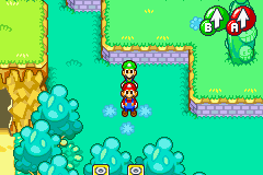 One of the Bean Fruits in Mario & Luigi: Superstar Saga.