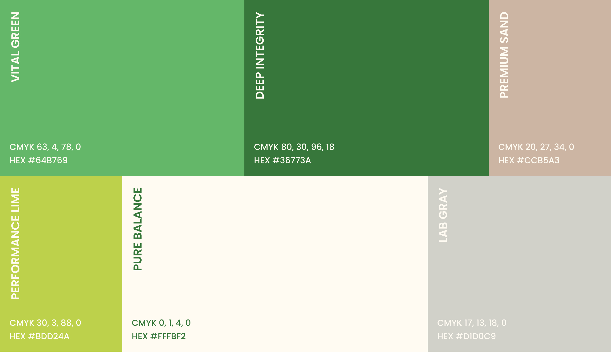 Elevated Brand Design