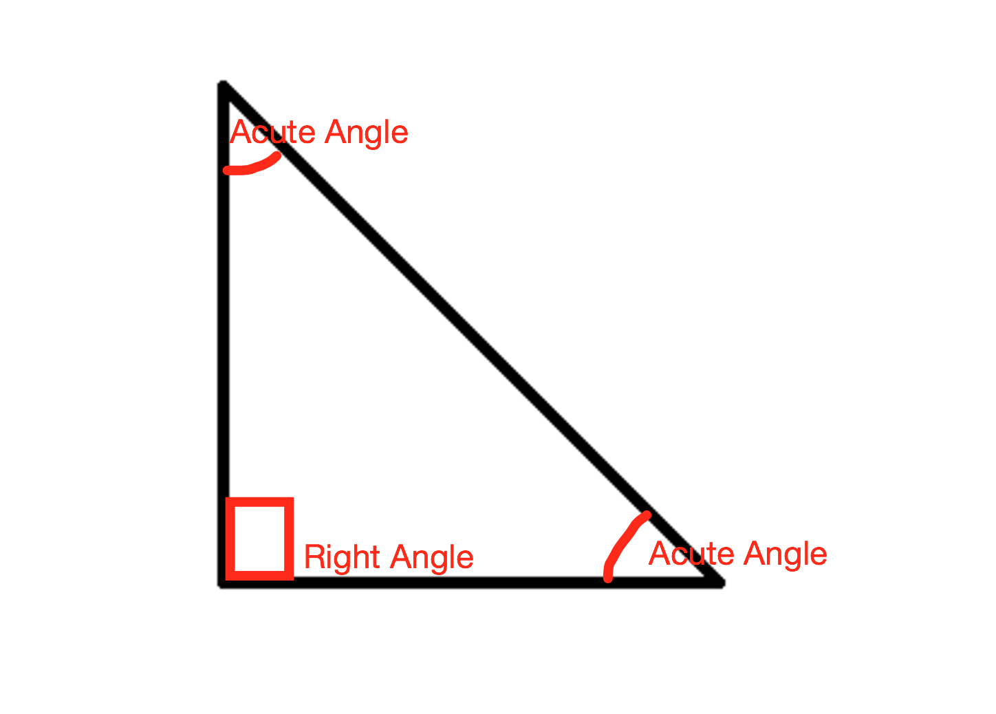 Components Of A Right Angle Triangle - Design Talk