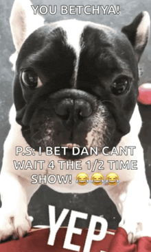 a black and white dog with a caption that says you betchya ps i bet dan cant wait 4 the 1/2 time show yep