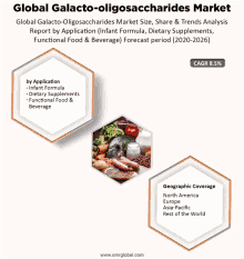 a poster that says global galacto oligosaccharides market