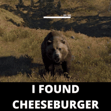 a bear in a field with the words i found cheeseburger