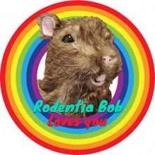 a picture of a rat with rodentia bob loves you written on it