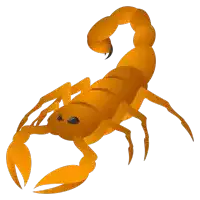 an orange scorpion with black eyes and a long tail