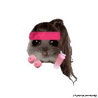 a picture of a hamster wearing a pink headband and a pink shaker