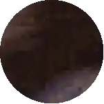 a pixel art drawing of a brown circle with a white background