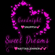 a greeting card that says goodnight snuppii sweet dreams nattalemmer