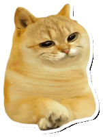 a sticker of a cat with a white border