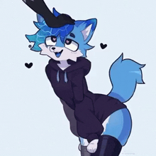 a blue furry is wearing a black hoodie and thigh high socks .