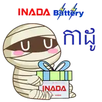 a cartoon of a mummy holding a box that says inada