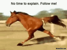 a brown horse is running on a dirt track in a fenced in area .