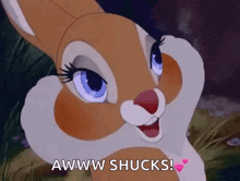 a close up of a cartoon rabbit with the words awww shucks written on it .