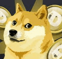 a doge is standing in front of a bunch of coins .