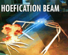 a picture of a crab with a beam coming out of it and the caption hoefication beam