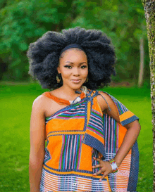 a woman with a large afro wearing a colorful dress stands in front of a tree