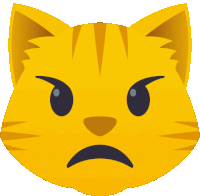 a yellow cat with a very angry face