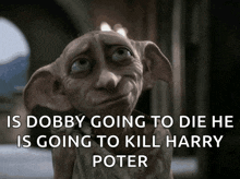 a picture of a dobby with the caption " is dobby going to die he is going to kill harry potter " on it