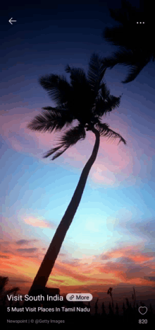 a picture of a palm tree with the words visit south india at the top