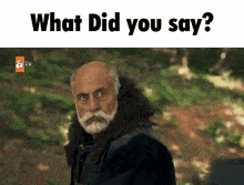 a man with a beard and a fur collar is asking what did you say